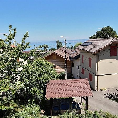 Apt Type 3 En Duplex Sur Evian Les Bains Vue Lac Екстериор снимка